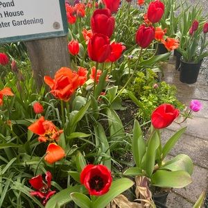 Meet your Posher, Harmony